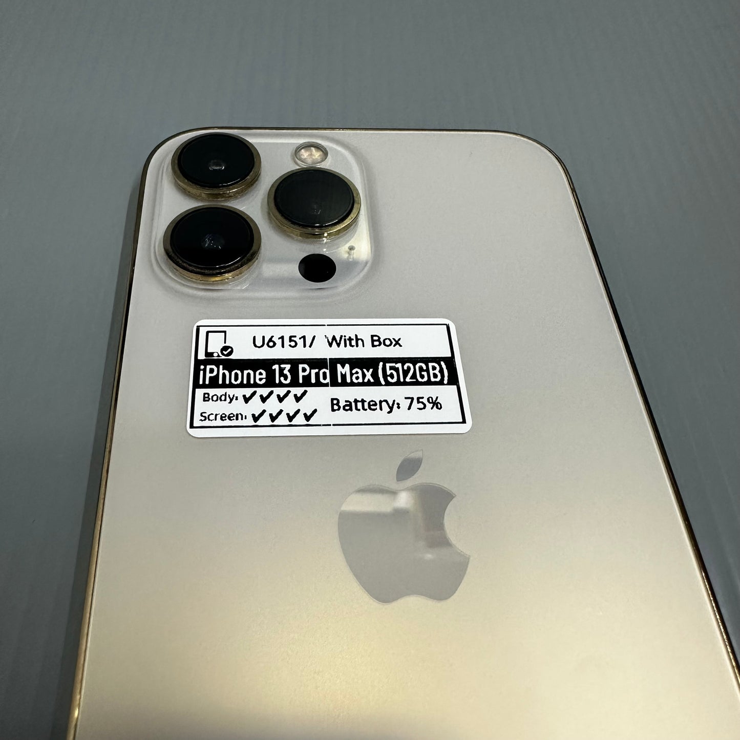 Apple iPhone 13 Pro Max (512GB) - (#U6151/Pre-Owned)