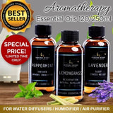 Aromatherapy Essential Oil for Diffusers. 100% Natural Botanical Extracts