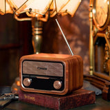 Nakamichi Soundbox Lite Bluetooth Speaker With Radio FM