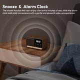 Nakamichi Wireless Charging Radio Clock Speaker