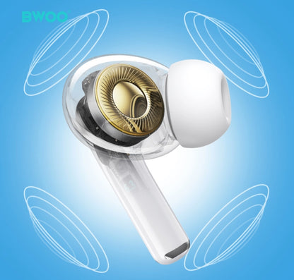 BWOO BW05 True Stereo Wireless Earbuds